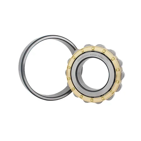 N Series Cylindrical Roller Bearings